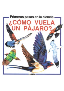 Cómo vuela un pájaro