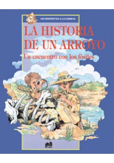 La historia de un arroyo